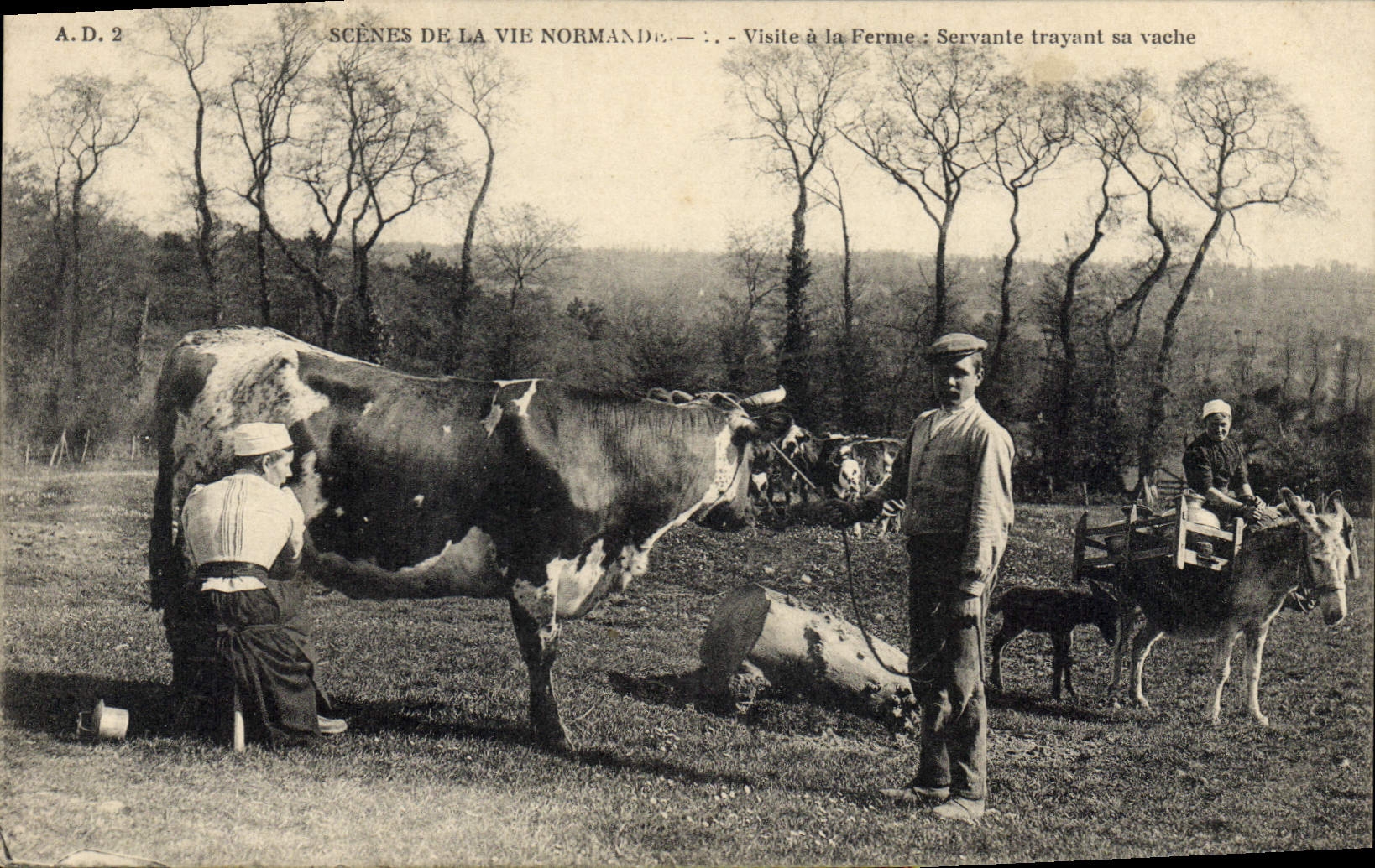 CPA Folklore Normandie Visite a la ferme Servante trayant sa vache Ane Mule