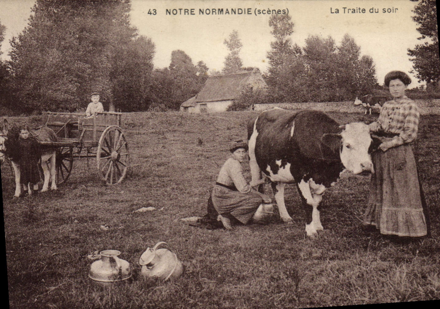 CPA Folklore Normandie La traite du soir Vache Ane Mule 