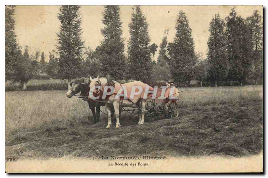 CPA Folklore Normandie La recollte des foins cheval 
