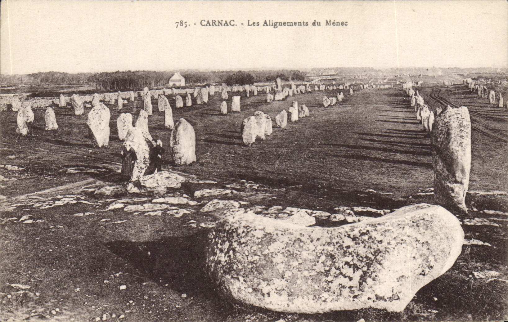 CPA Dolmen Menhir Carnac Les alignements du Menec 