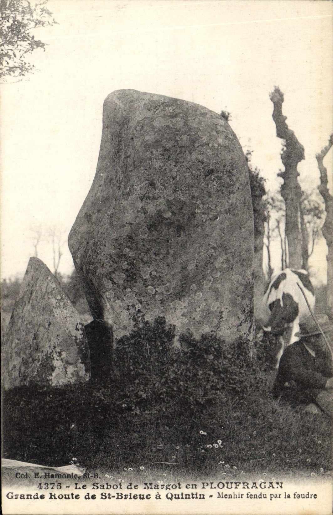 CPA Dolmen Menhir Le sabot de Margot en Ploufragan Grande route de St Brieuc a Quintin Vache