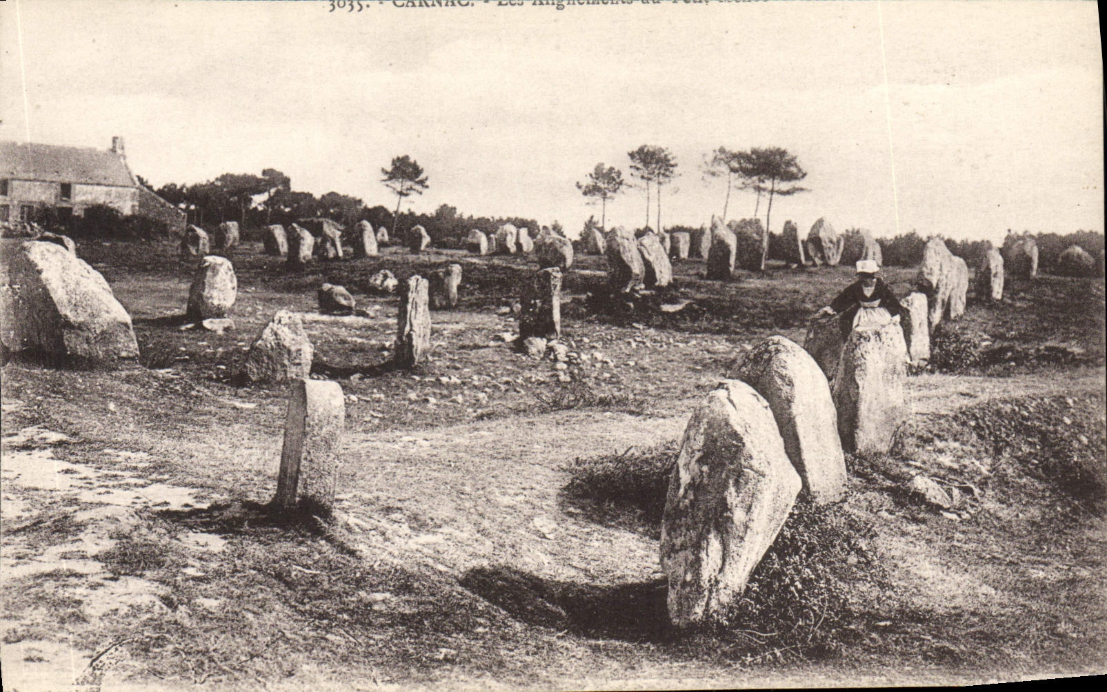 CPA Dolmen Menhir Carnac