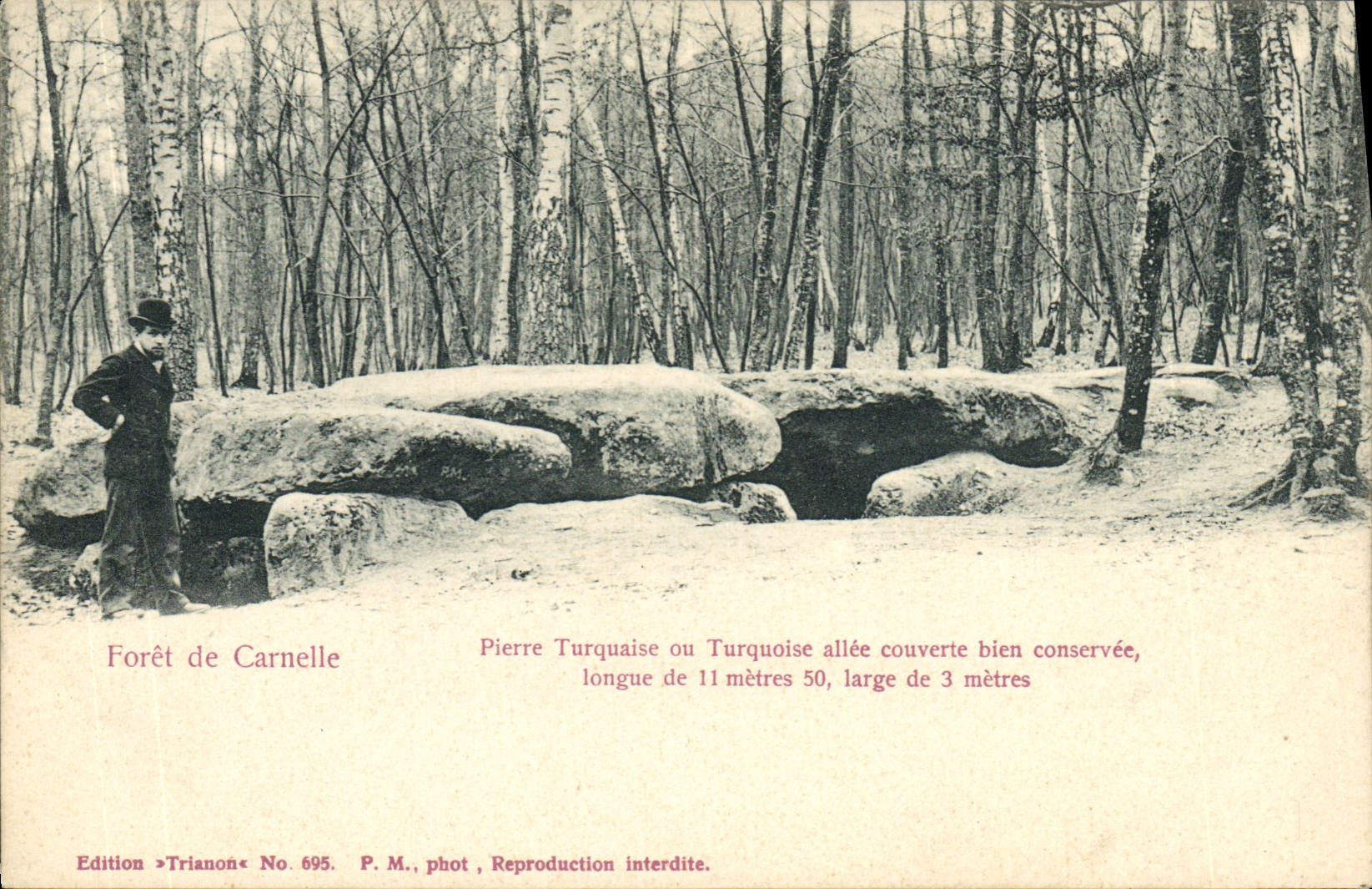 CPA Dolmen Menhir Foret de Carnelle Pierre Turquaise ou Turquoise