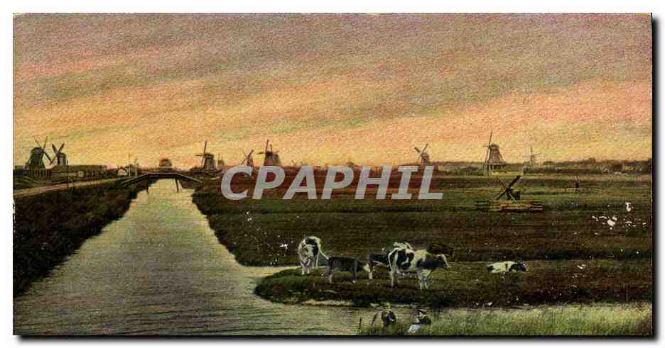 CPA Moulin a vent Vaches Zaanstreek