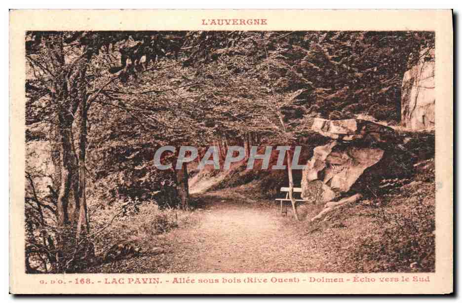 CPA Menhir Dolmen Auvergne Lac Pavin Allee sous bois Echo vers le sud 
