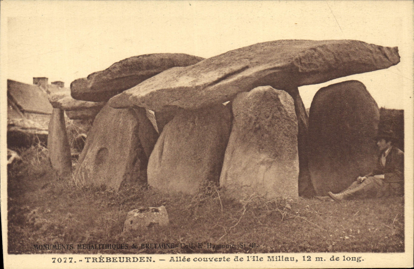 CPA Menhir Dolmen Trebeurden Allee couverte de l'ile Miliau 