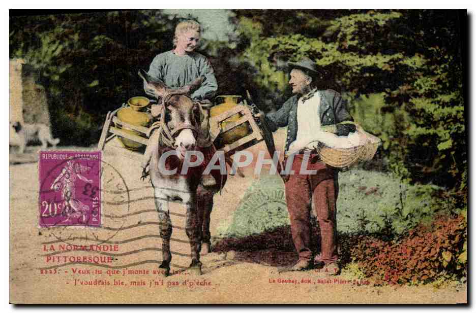 CPA Folklore Normandie Ane Mule 