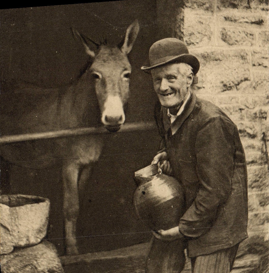 CPA Folklore Normandie Ane Mule