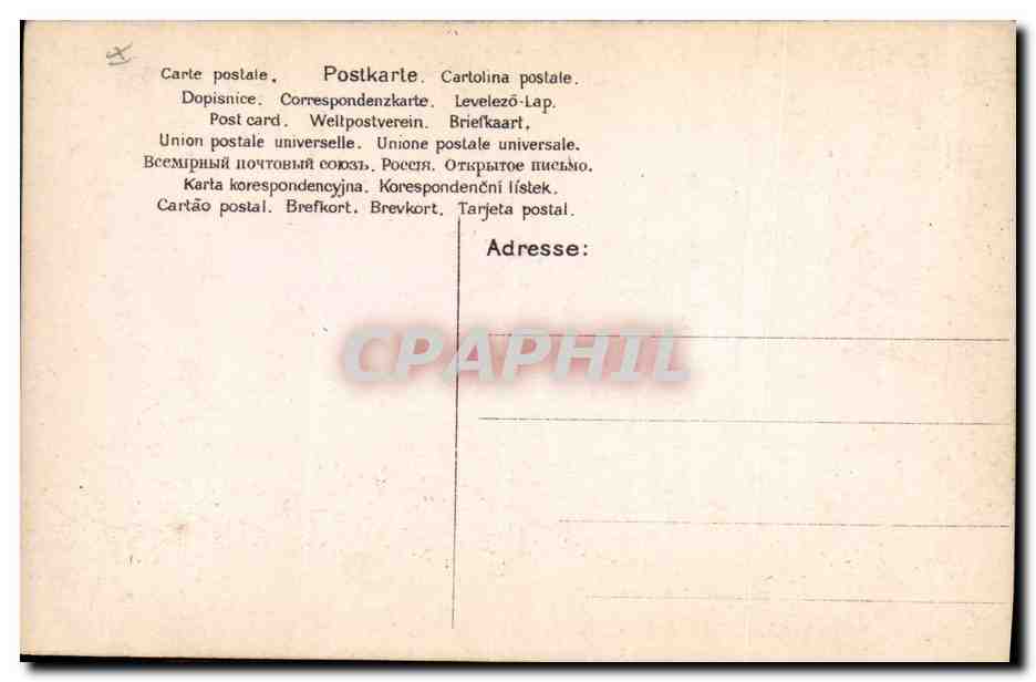 CPA Fantaisie Femme La charmeuse d'oiseaux Cygne — Verso