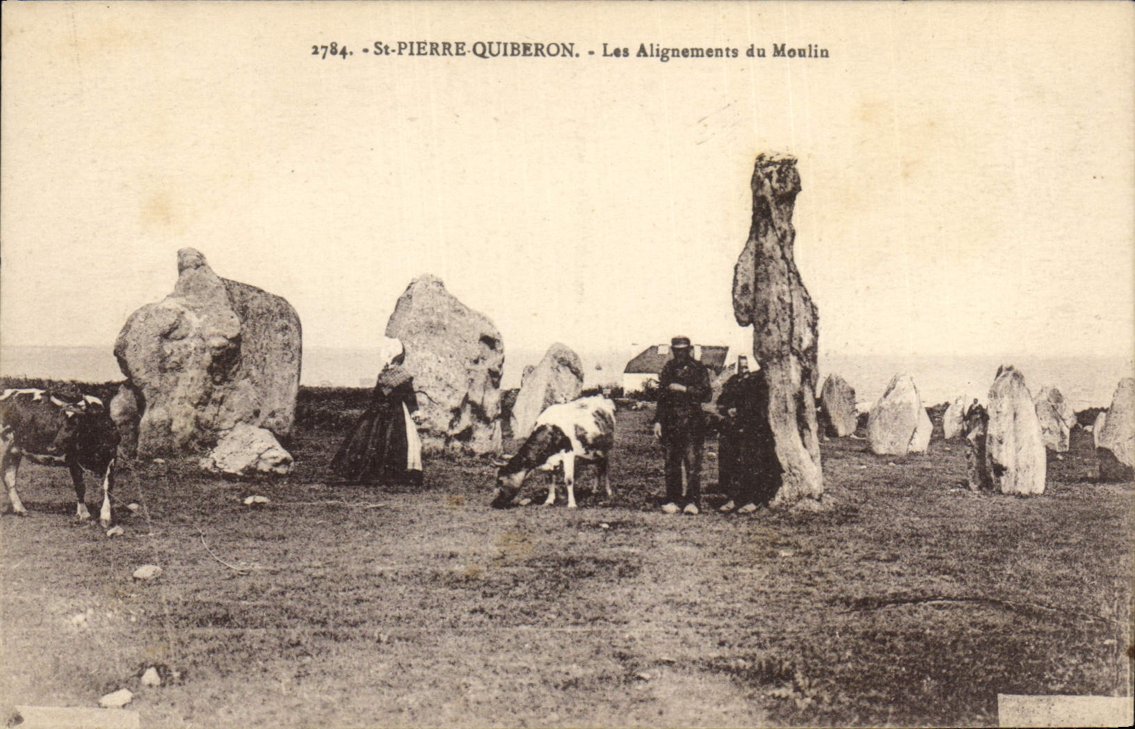CPA Dolmen Menhir St Pierre Quiberon Les alignements du moulin Vaches 