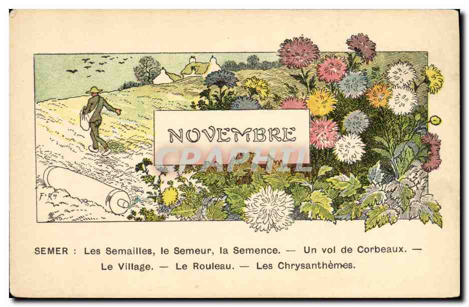 CPA Fantaisie Illustrateur Novembre Fleurs Semailles