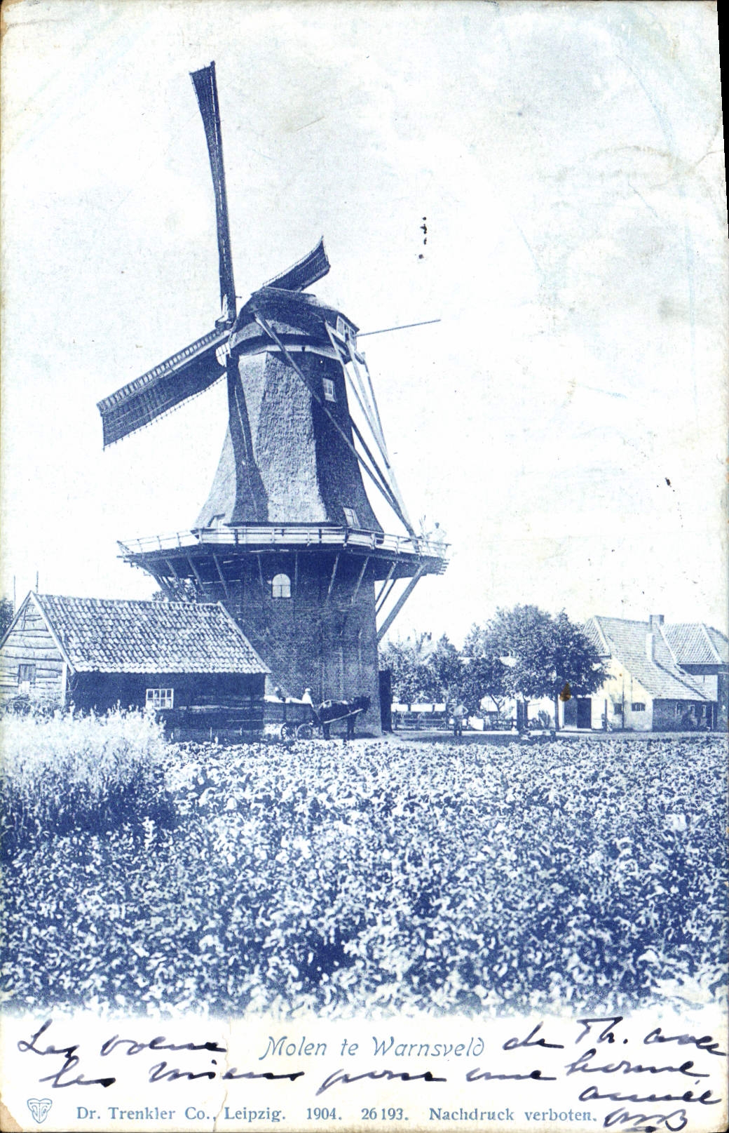 Moulin à vent à Warnsveld — Dr. Trenkler Co., Leipzig, n° 26193 — 1904