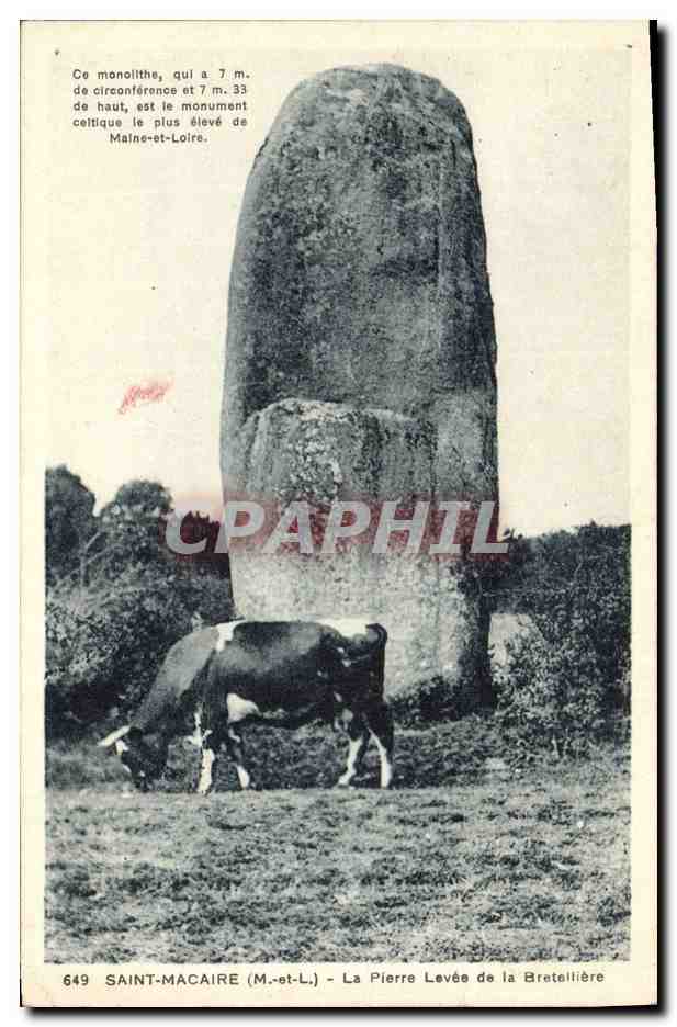 CPA Dolmen Menhir Saint Macaire La pierre levee de la Breteilliere Vache 