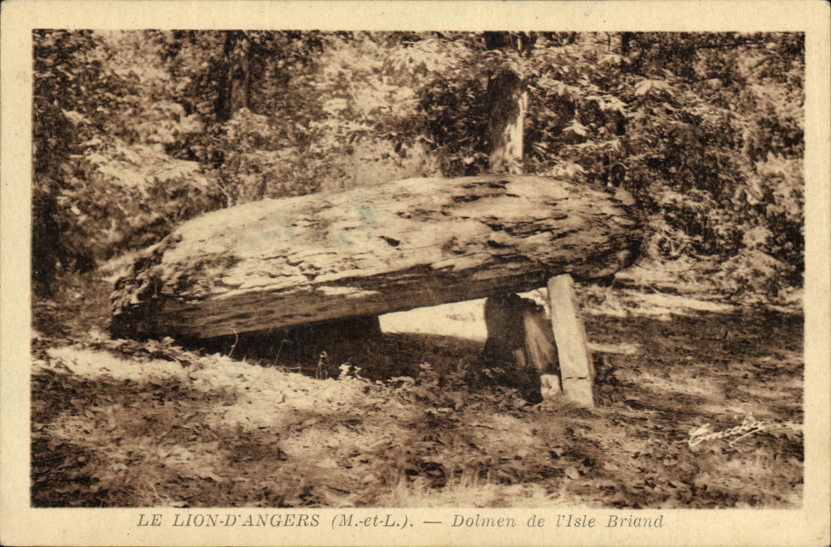 CPA Dolmen Menhir Le lion d'Angers Dolmen de L'Isle Briand 
