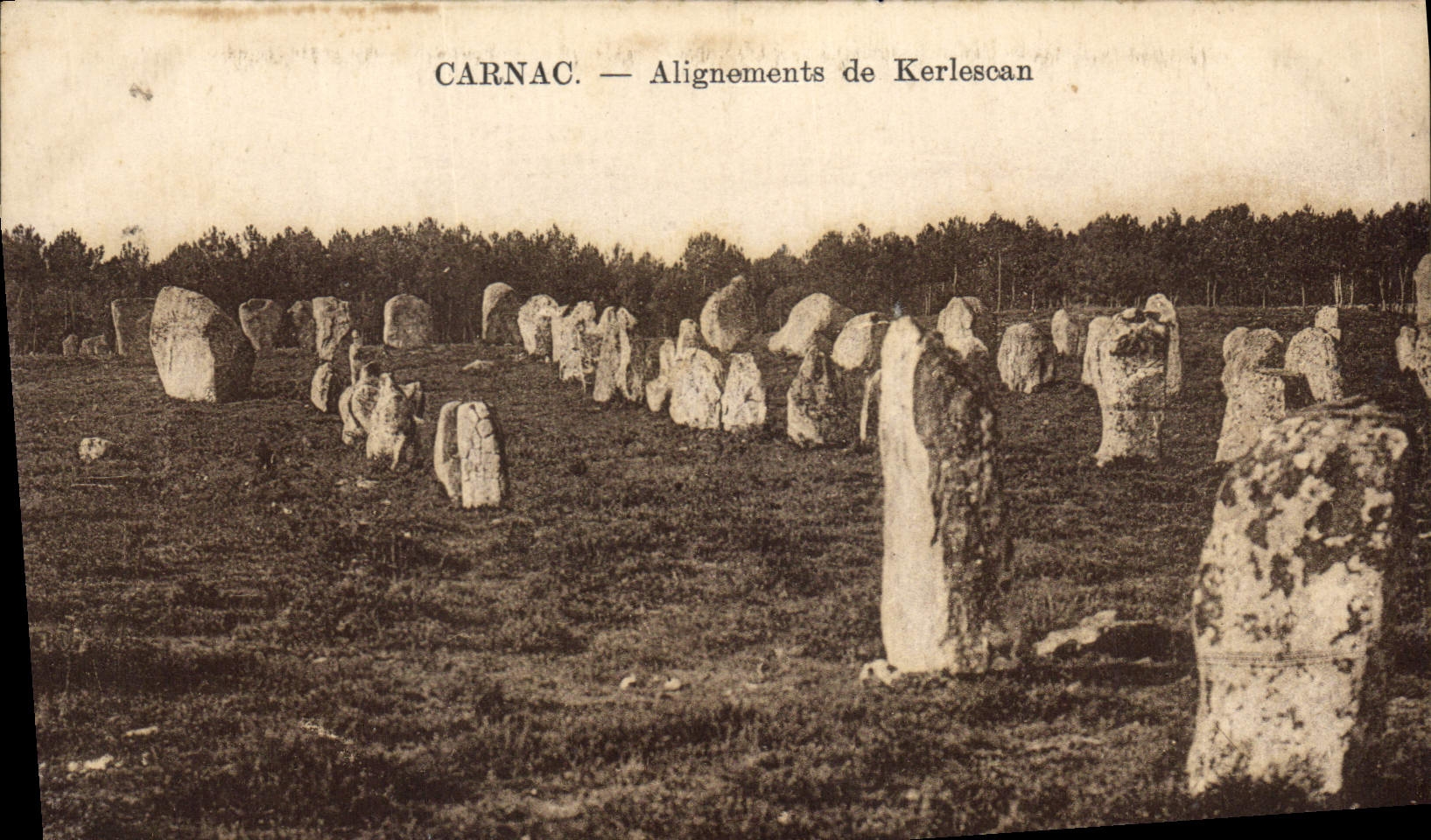 CPA Dolmen Menhir Carnac Alignements de Kerlescan