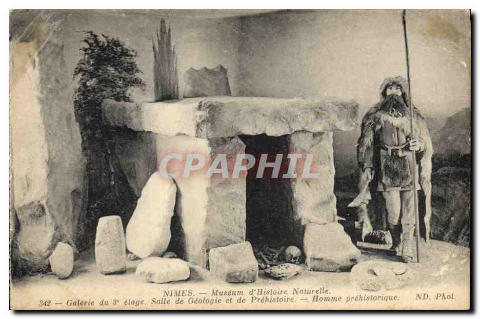 CPA Dolmen Menhir Nimes Museum d'histoire Naturelle Salle de geologie et de prehistoire Homme prehistorique 