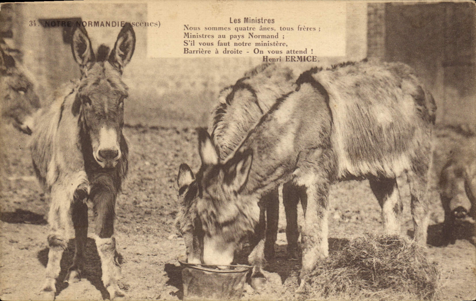 CPA Folklore Normandie Les ministres ane Mule