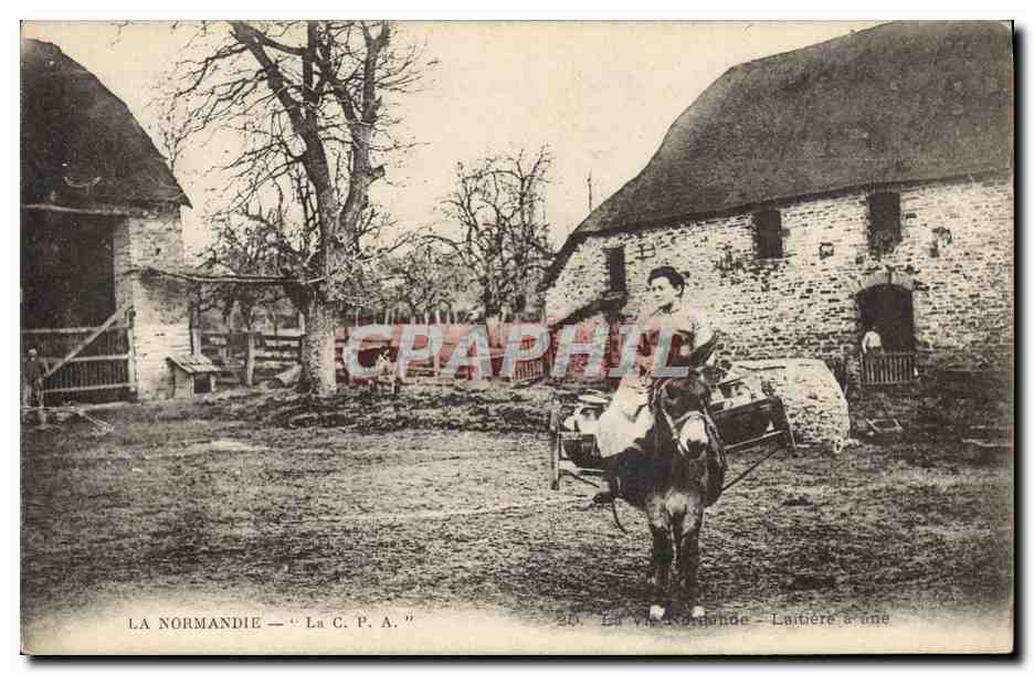 CPA Folklore Normandie Femme ane Mule Laitiere a ane 