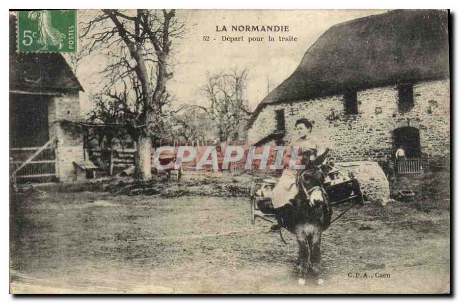 CPA Folklore Normandie Depart pour la traite Ane mule 