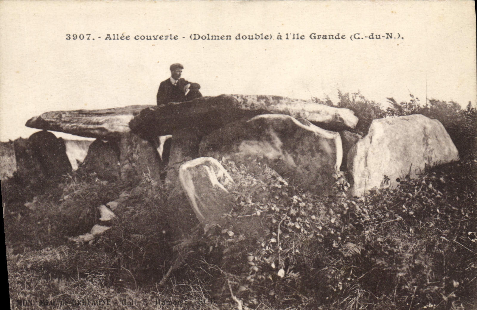 CPA Dolmen Menhir Allee couverte Dolmen double a l'Ile Grande 