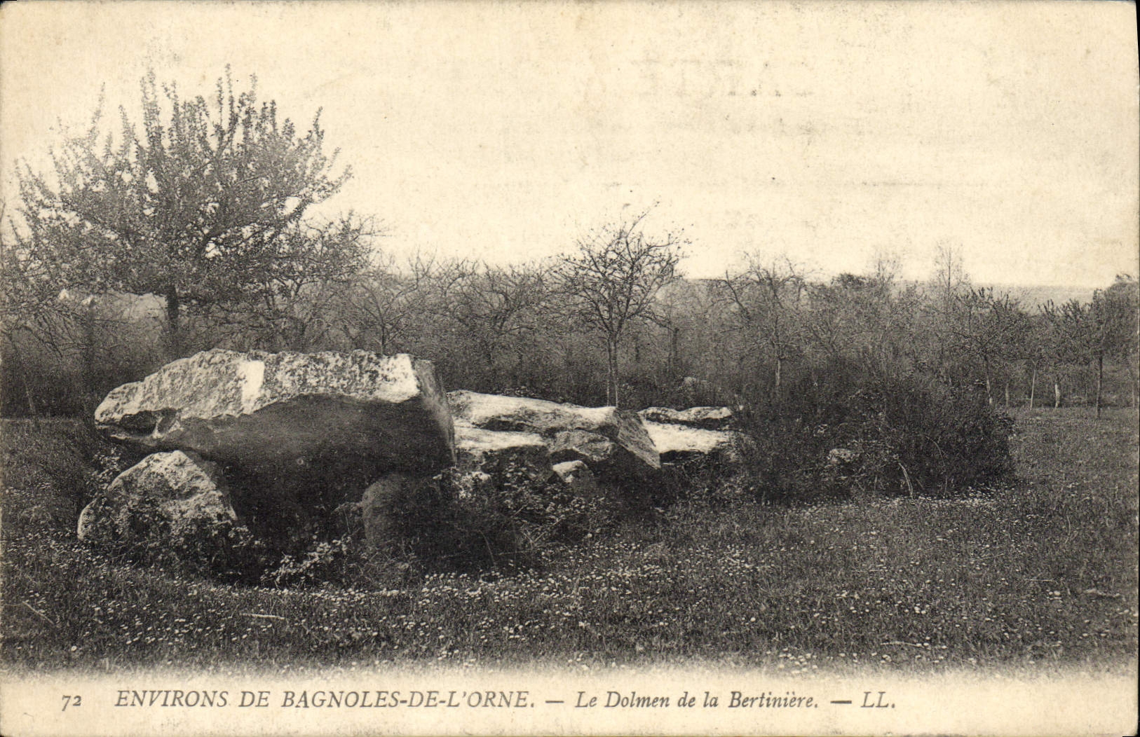 CPA Dolmen Menhir Environs de Bagnoles de l'Orne Le dolmen de la Bertiniere 