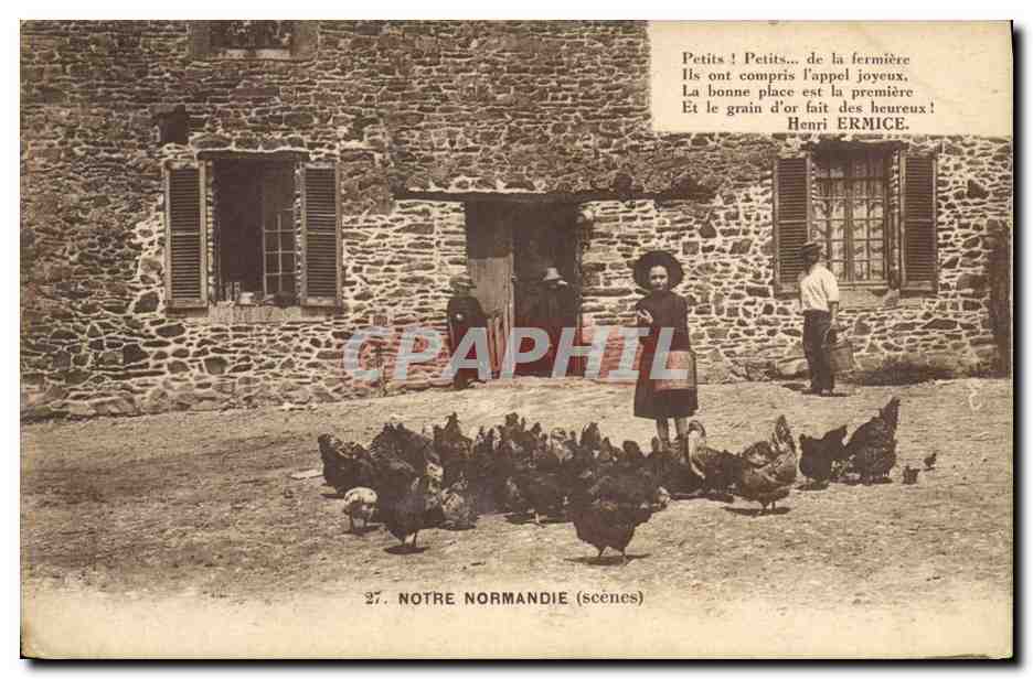 CPA Folklore Normandie Poules Enfant 
