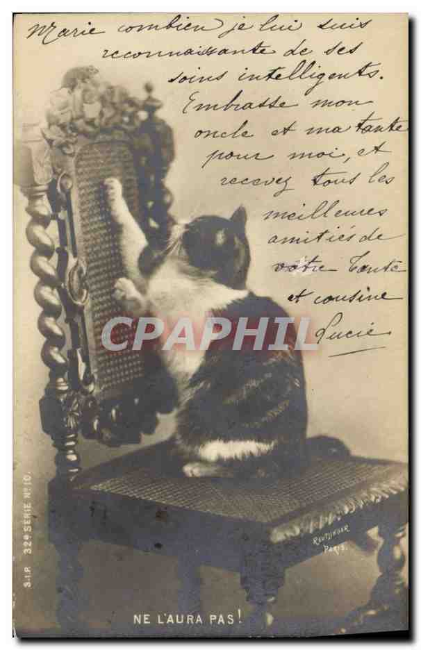 CPA Chat Chats Chaton Souris Ne l'aura pas !