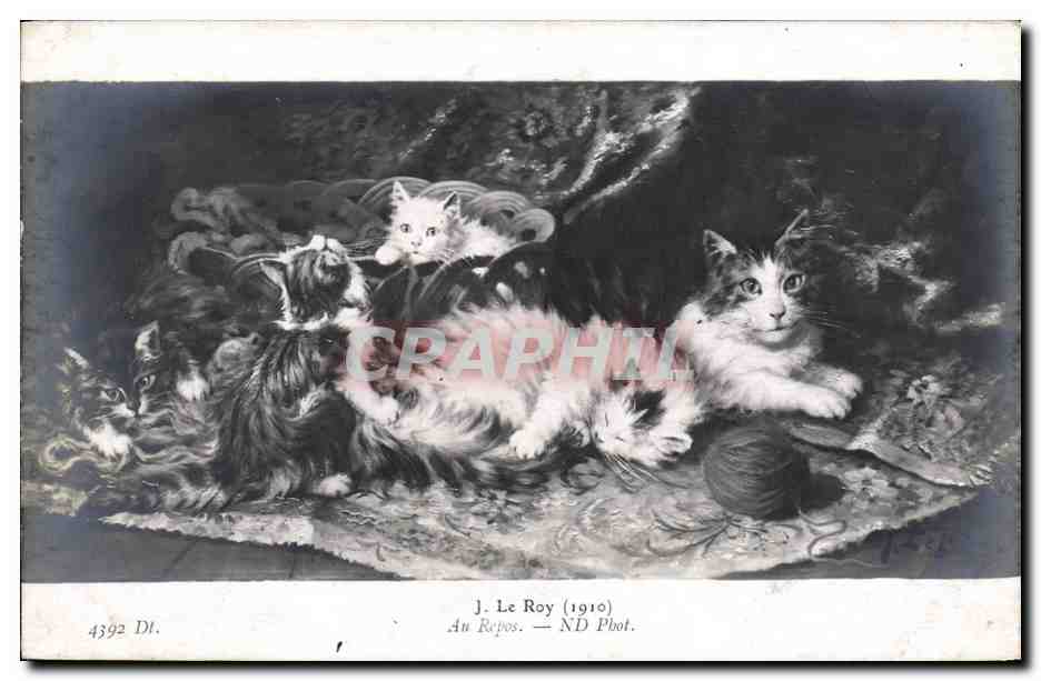 CPA Chat Chats Chaton J Le Roy Au repos 