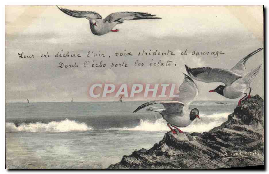 CPA Fantaisie Illustrateur Oiseaux 