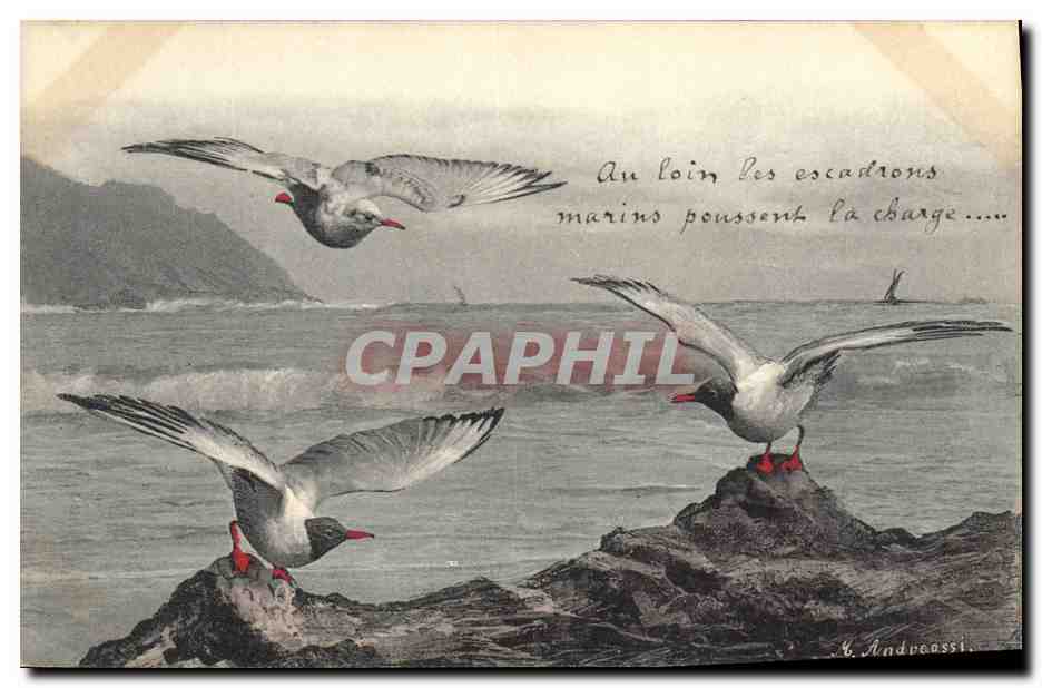 CPA Fantaisie Illustrateur Oiseaux