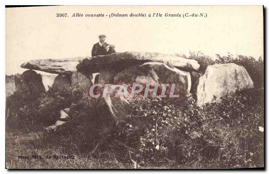 CPA Dolmen Menhir Allee couverte Dolmen double a l'Ile Grande 
