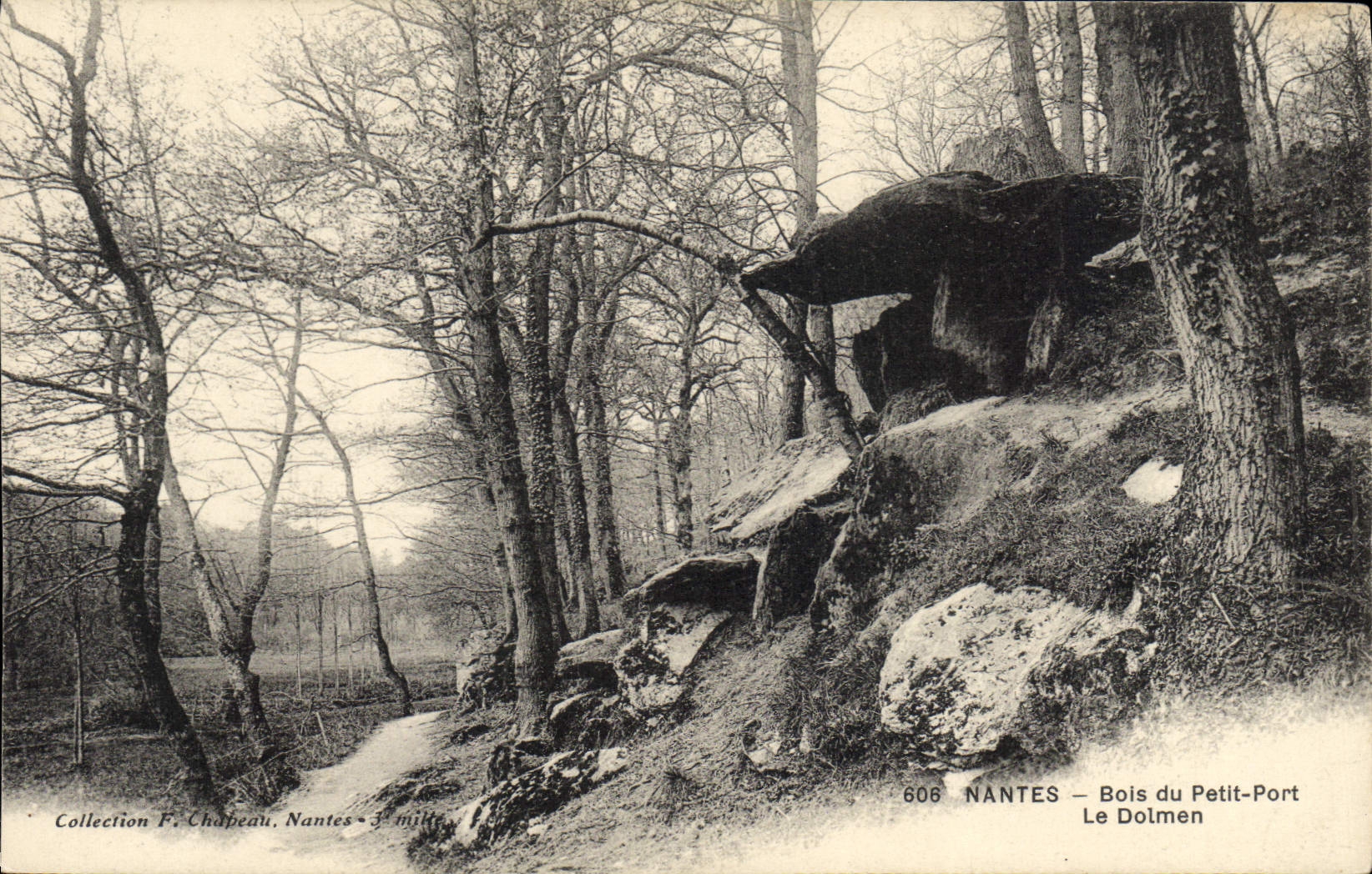 CPA Dolmen Menhir Nantes Bois du Petit Port 