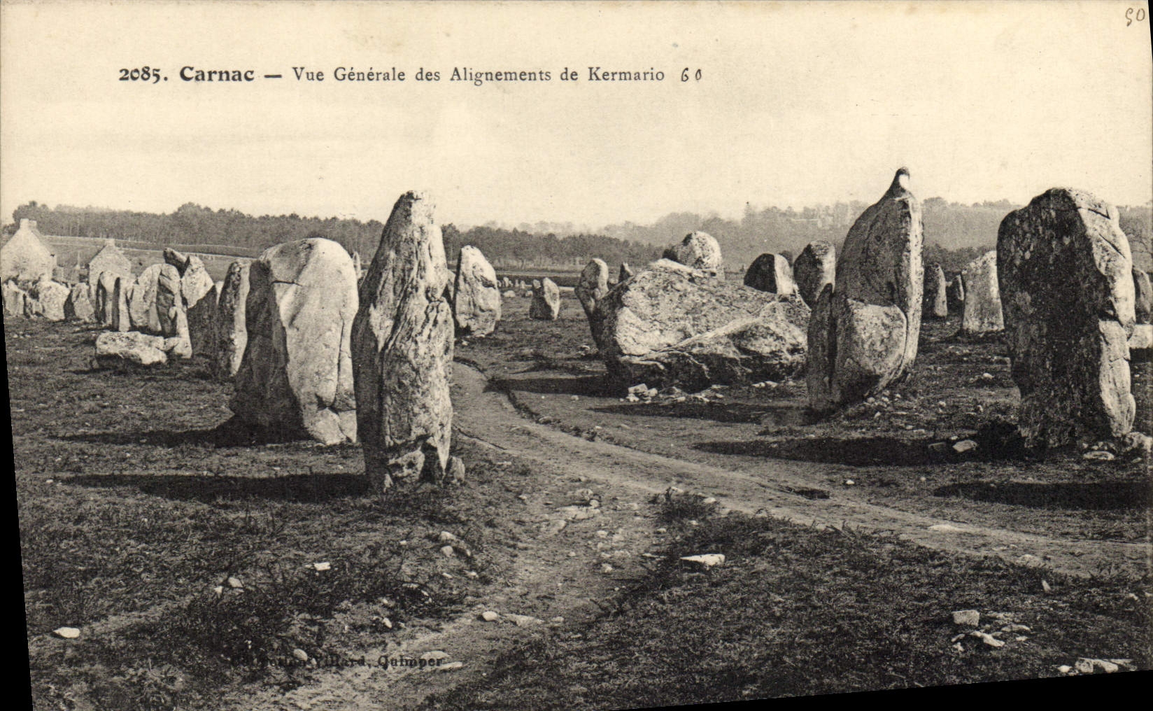 CPA Dolmen Menhir Carnac Vue generale des alignements de Kermario