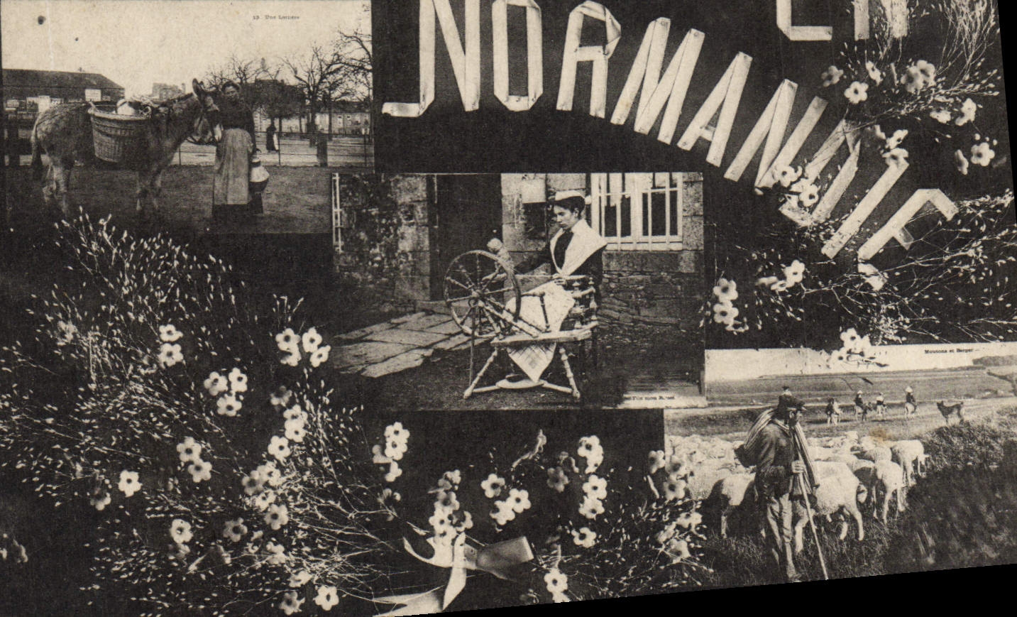 CPA Folklore En Normandie 