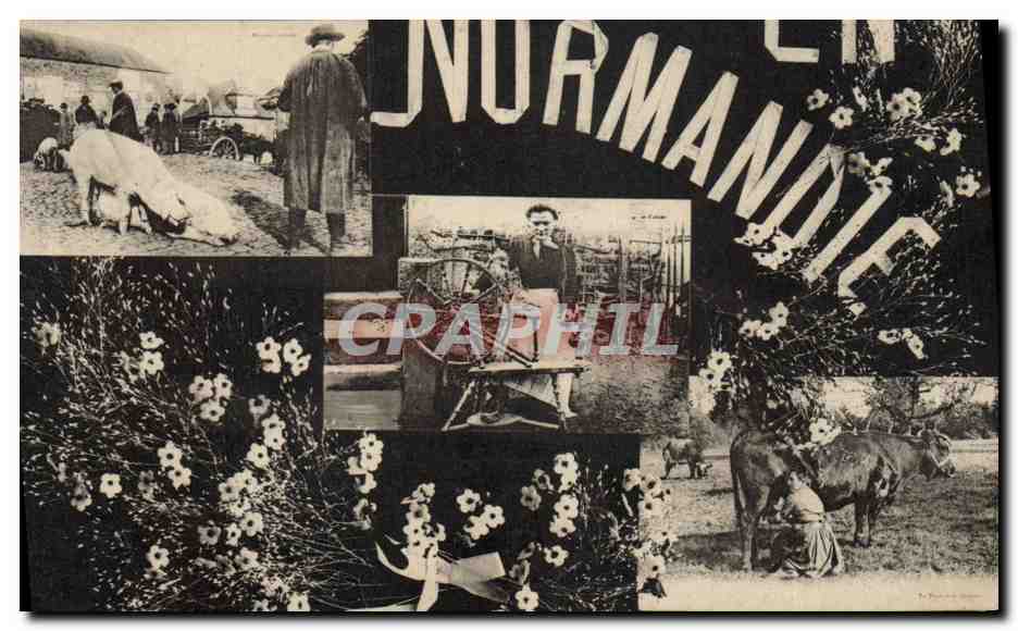 CPA Folklore En Normandie Cochon Porc Vache 