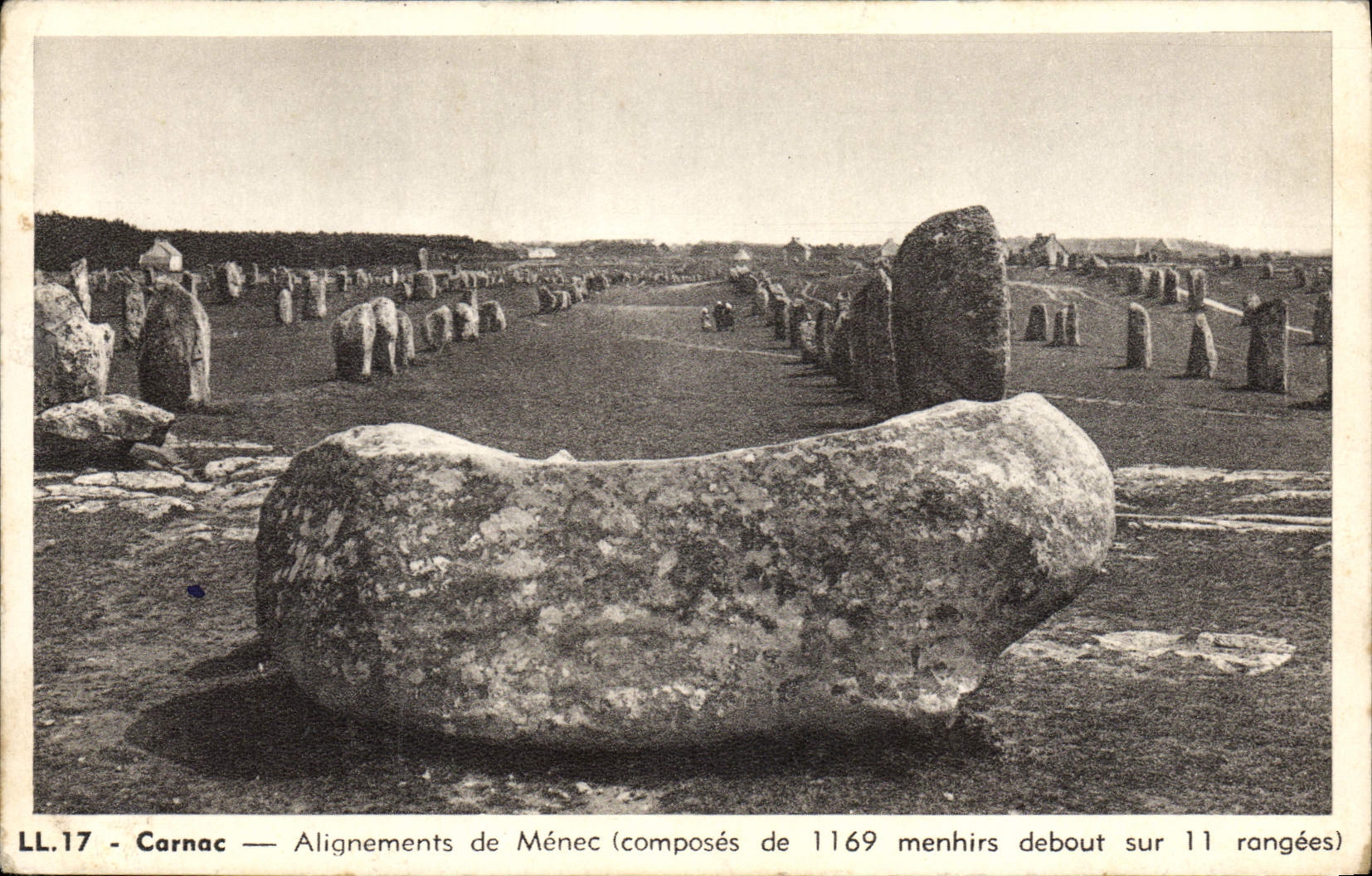 CPA Dolmen Menhir Carnac Alignements de menc 