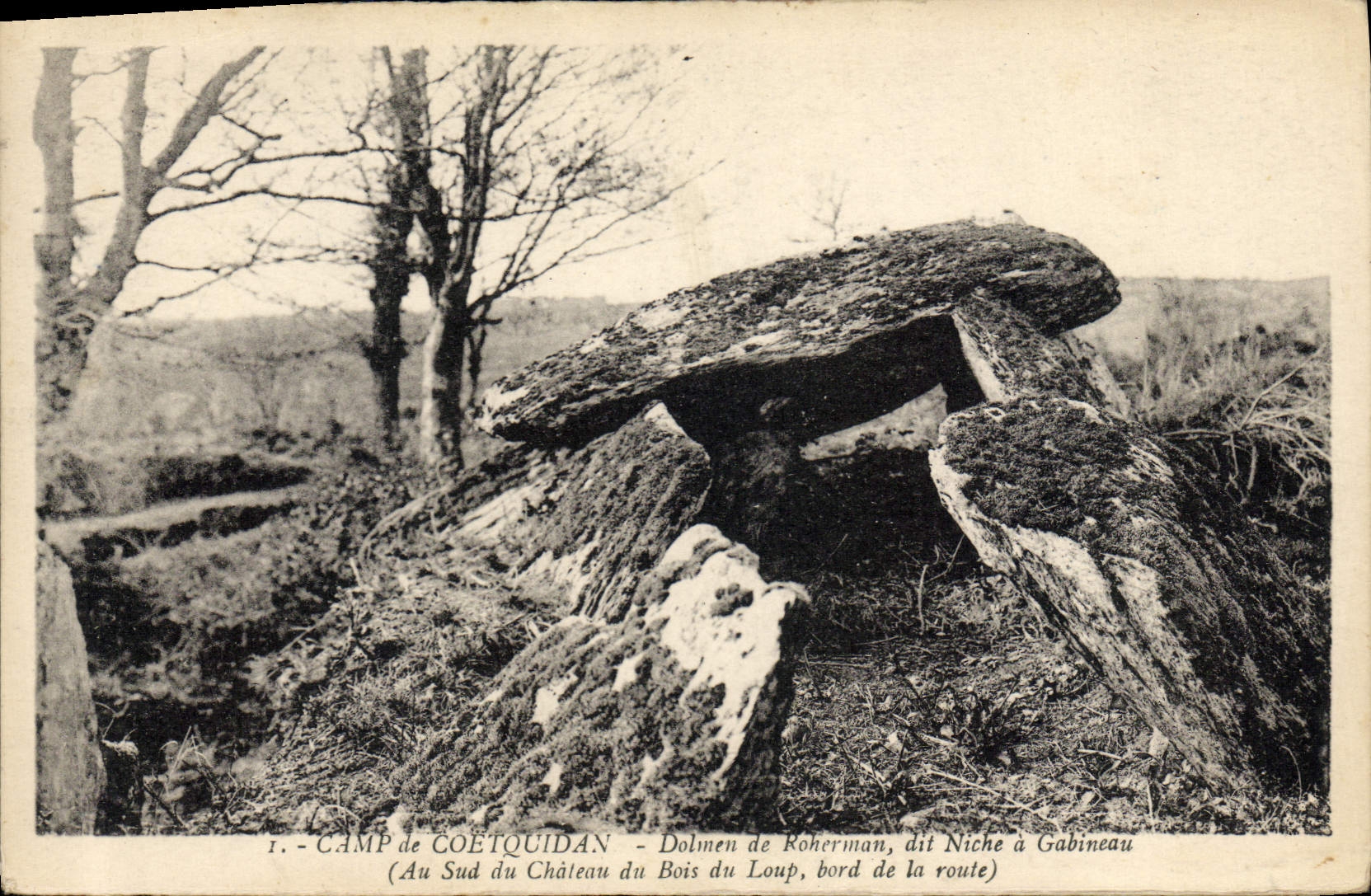 CPA Dolmen Menhir Camp de Coetquidan Dolmen de Roherman dit Niche a Gabineau Au sud du chateau du Bois du Loup 