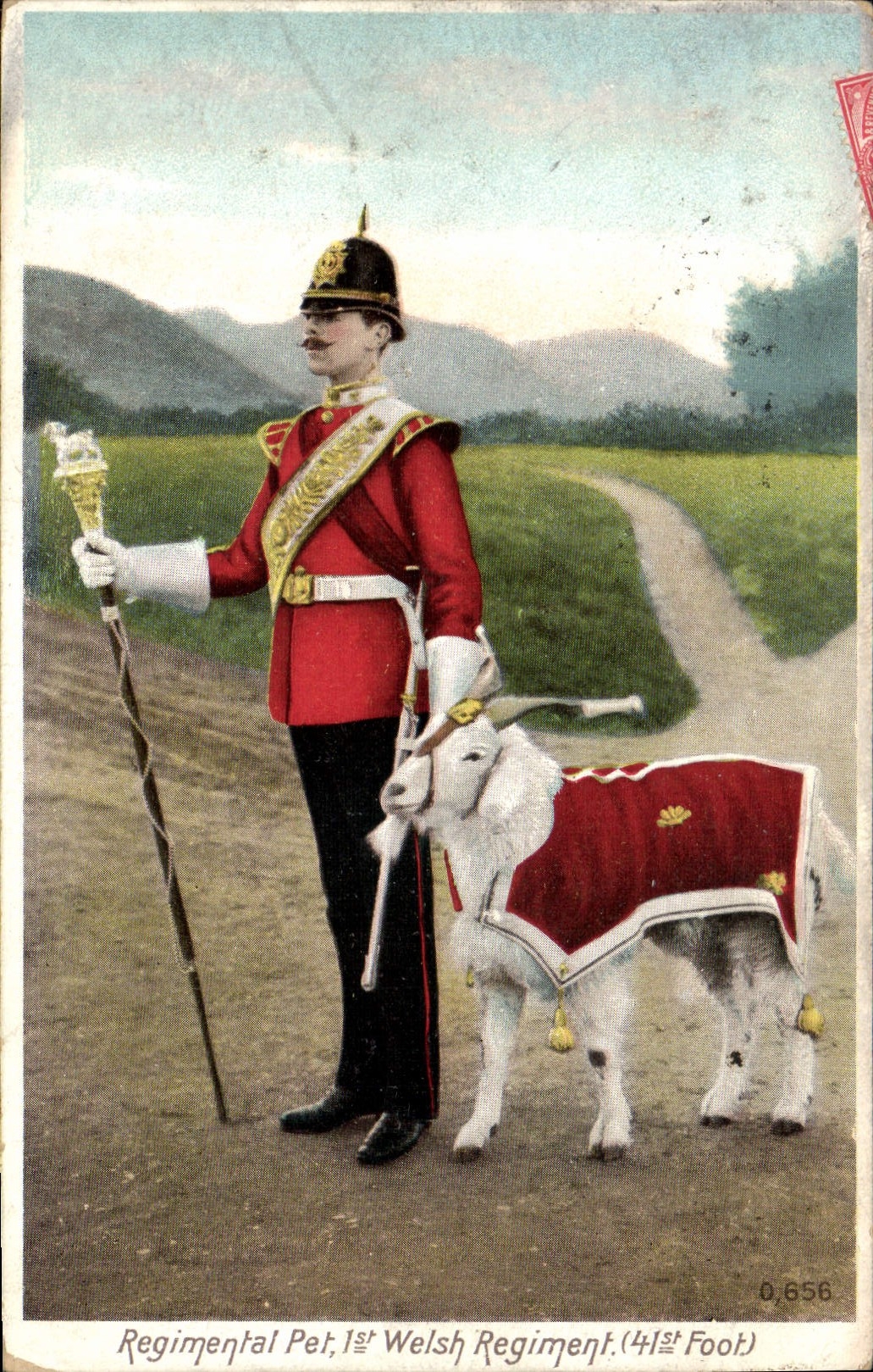 Regimental Pet, 1st Welsh Regiment (4th Foot) — A. & G. Taylor & Co. — n° 0,656
