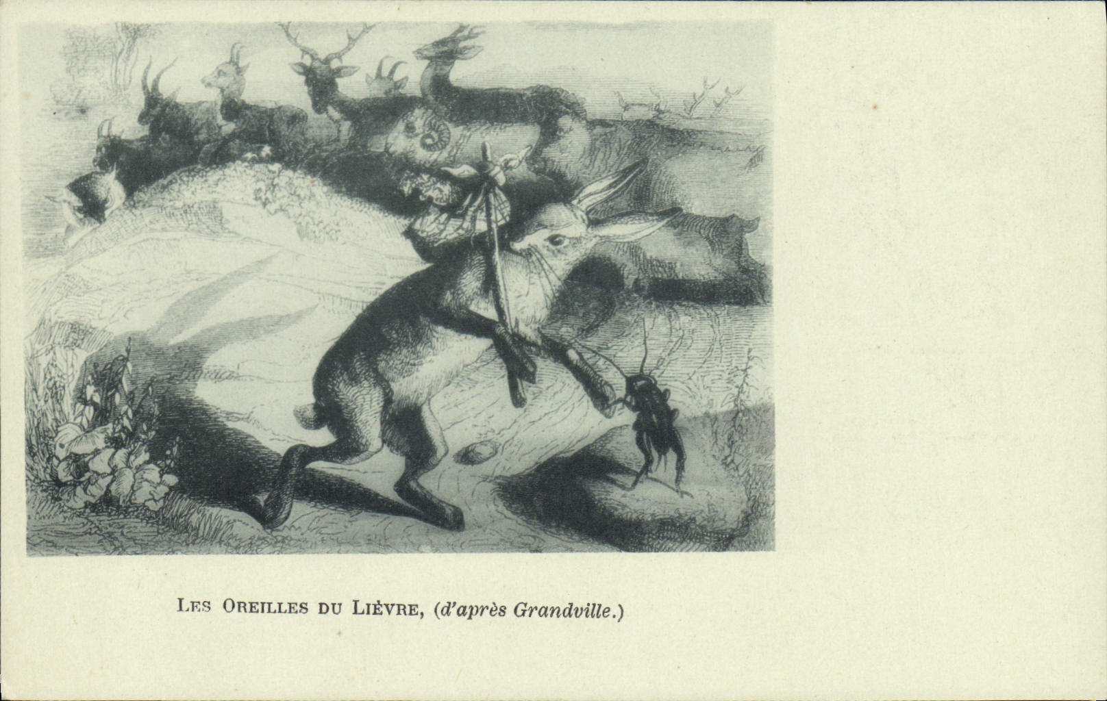 CPA Fantaisie Illustrateur Les oreilles du lievre Grandville
