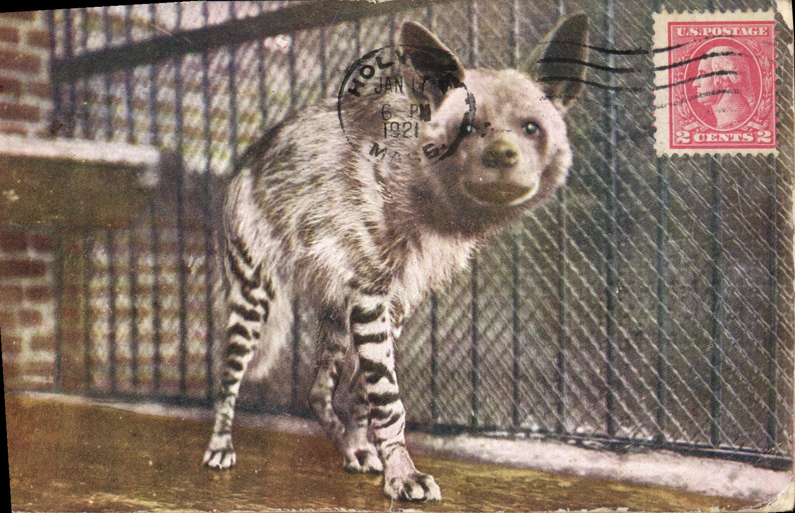 CPA Striped Hyena Washington Park Zoo Milwaukee 