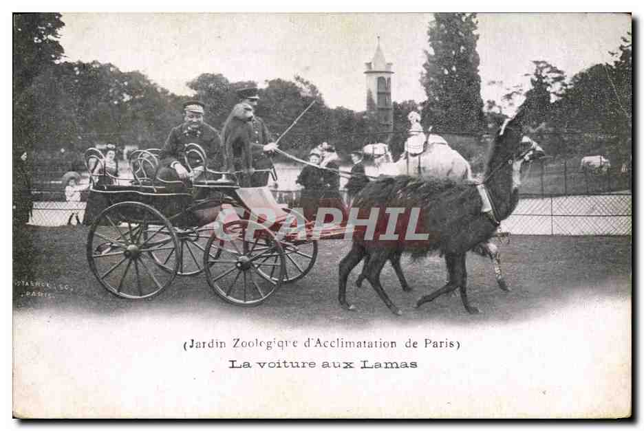 Jardin Zoologique d'Acclimatation de Paris — La voiture aux Lamass — éditeur Otasrock & Cie, Paris
