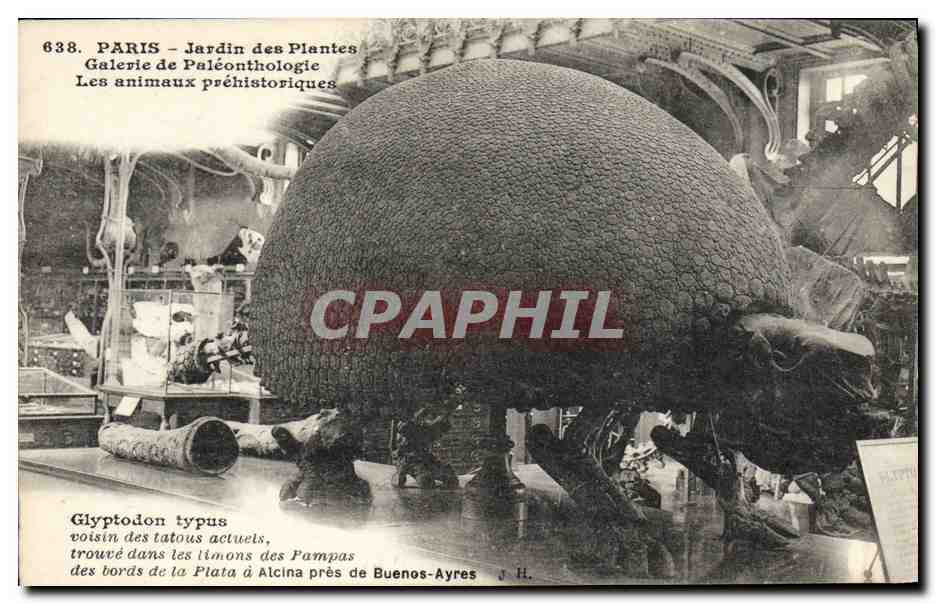 CPA Paris Jardin des plantes Galerie de paleonthologie Gluptodon typs Buenos Ayres Bresil Dinosaure