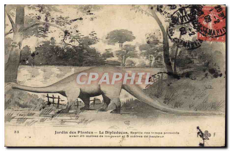 Jardin des Plantes — Le Diplodocus, Reptile des temps primitifs — n°33