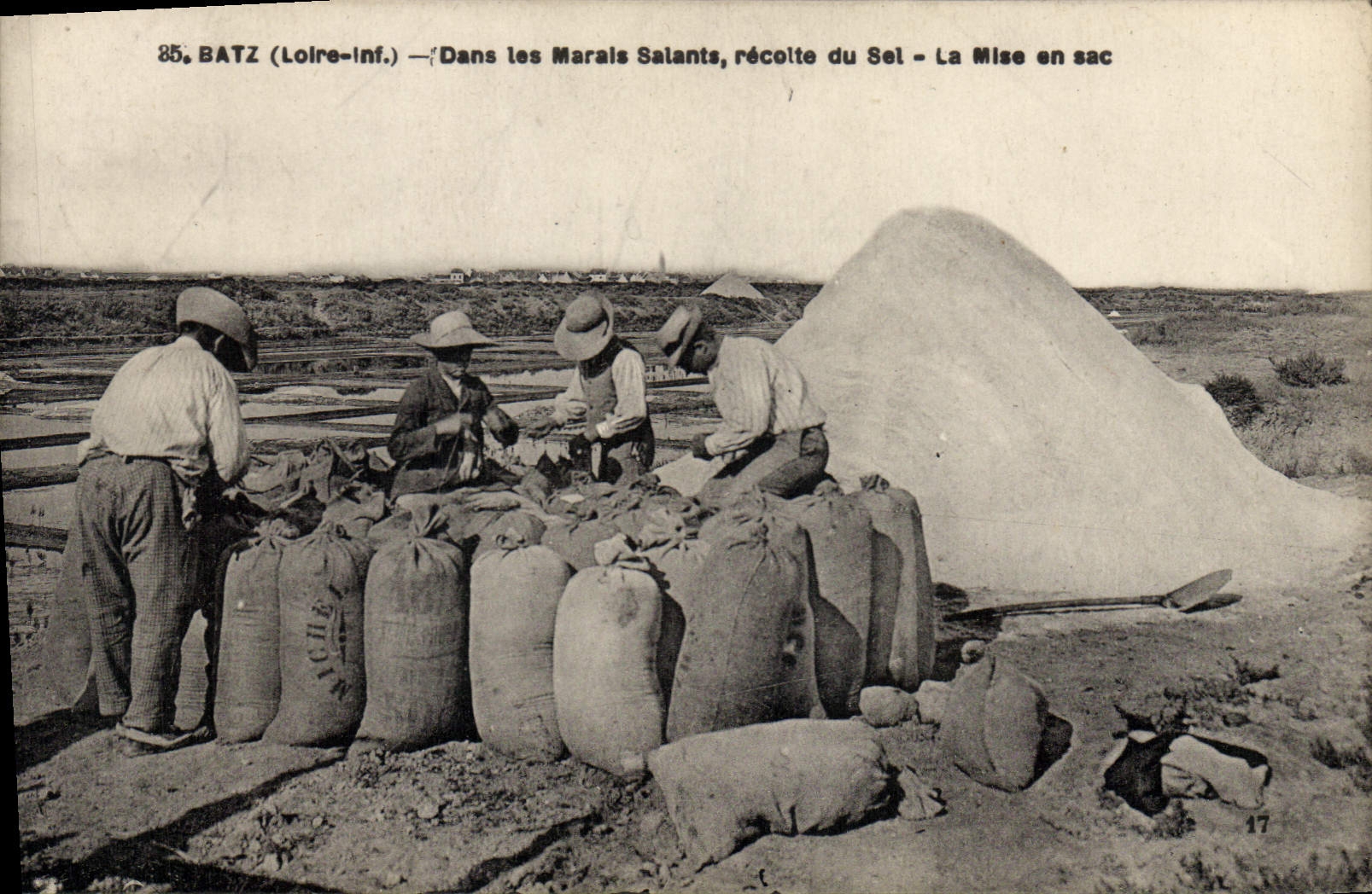 CPA Batz Dans les marais salants Recolte du sel La mise en sac TOP