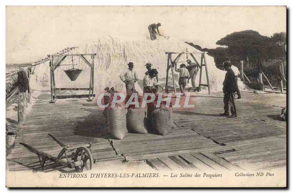 CPA Environs d'Hyeres les Palmiers Les Salins des Pesquiers TOP
