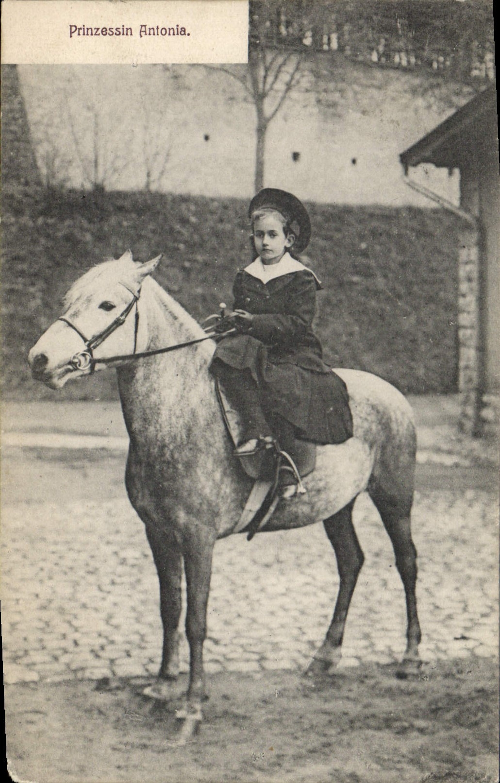 Prinzessin Antonia — En selle sur un cheval — Carte postale allemande