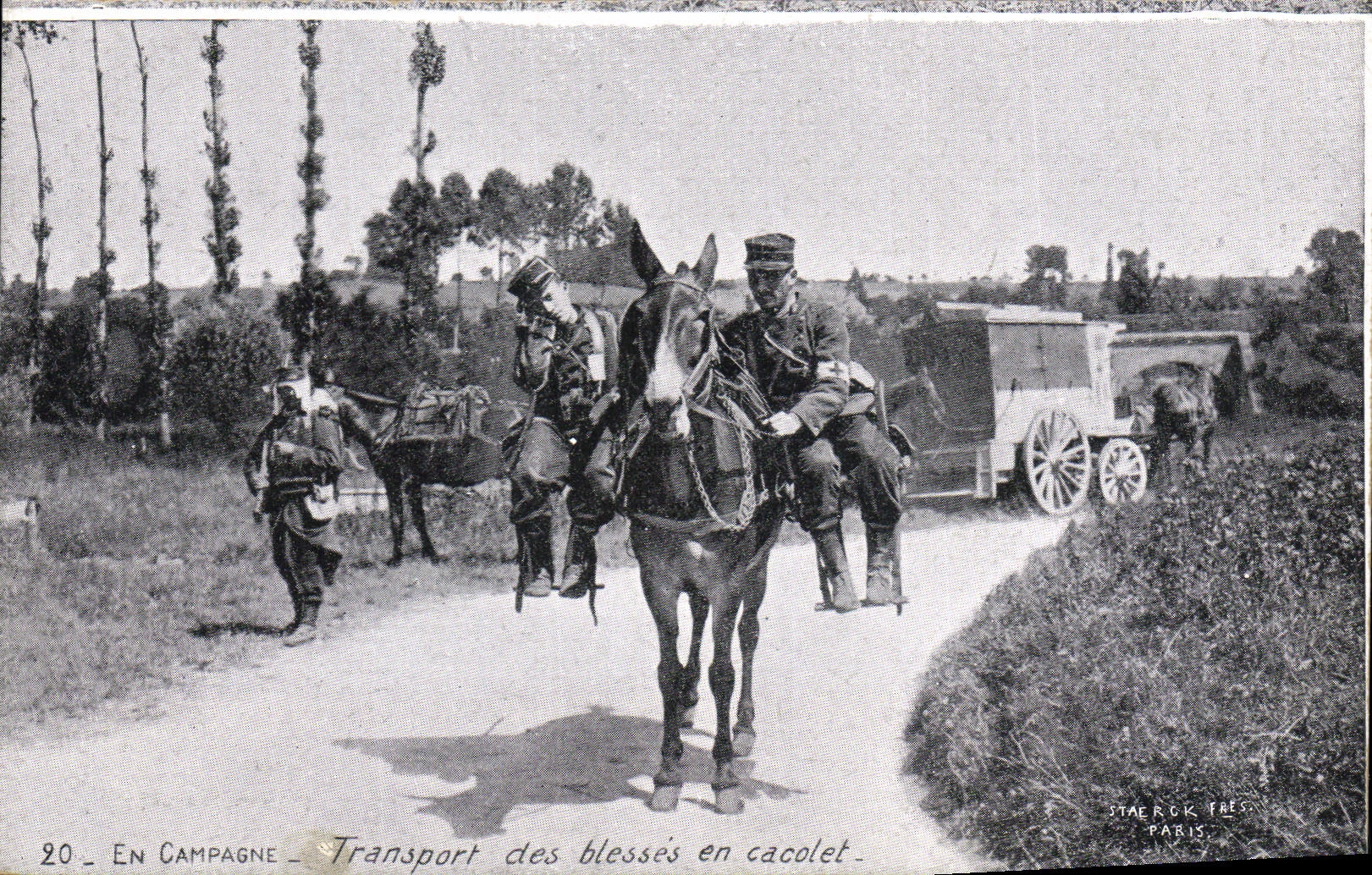 CPA Militaria En campagne Transport des blesses en cacolet Ane Mule