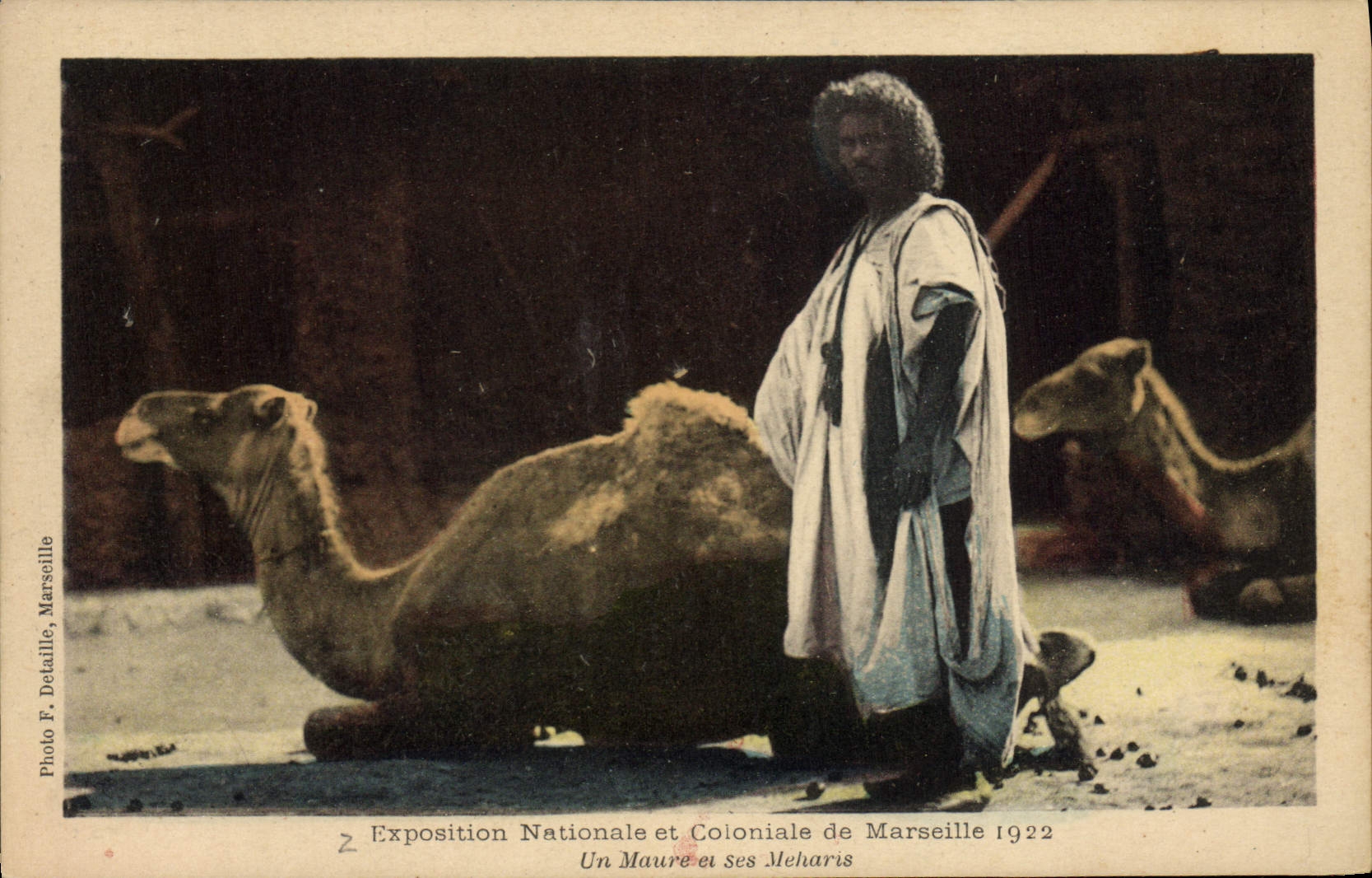 Un Maure et ses Meharis — Exposition Nationale et Coloniale de Marseille 1922 — Photo F. Detaille, Marseille