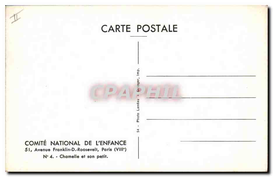 CPA Chamelle et son petit  — Rückseite
