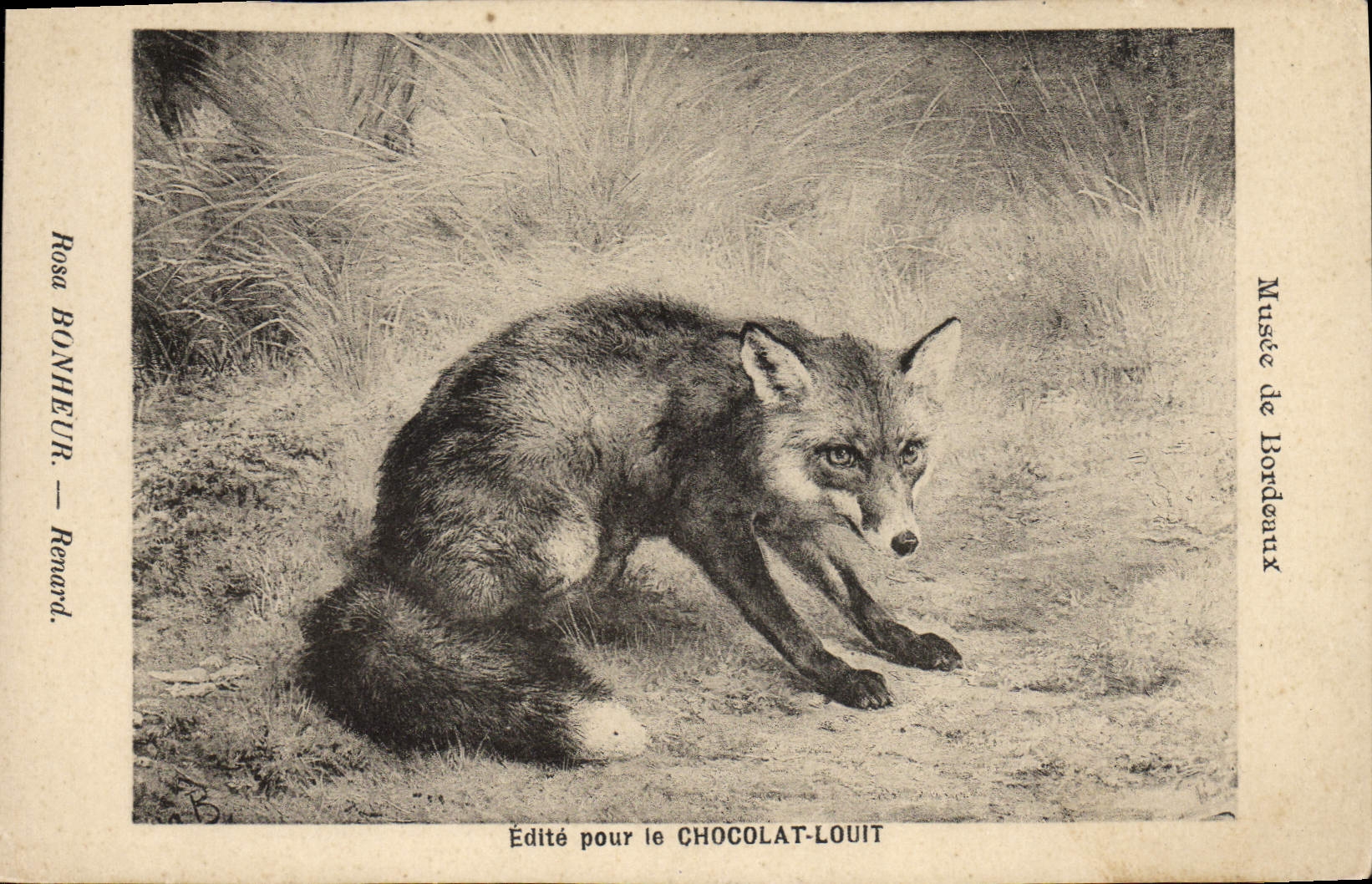 CPA Musee de Bordeaux Rosa Bonheur Renard